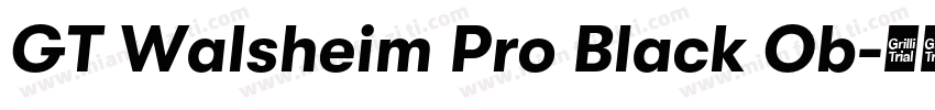 GT Walsheim Pro Black Ob字体转换